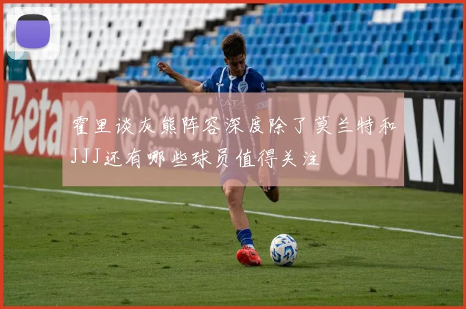 霍里谈灰熊阵容深度除了莫兰特和JJJ还有哪些球员值得关注